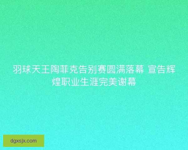 羽球天王陶菲克告别赛圆满落幕 宣告辉煌职业生涯完美谢幕