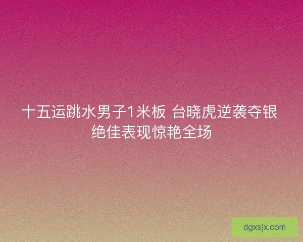 十五运跳水男子1米板 台晓虎逆袭夺银 绝佳表现惊艳全场 十五运跳水男子1米板 台晓虎逆袭夺银 绝佳表现惊艳全场